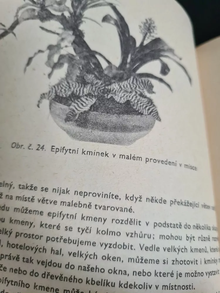  Pěstujeme pokojové květiny, O. Bureš, kniha