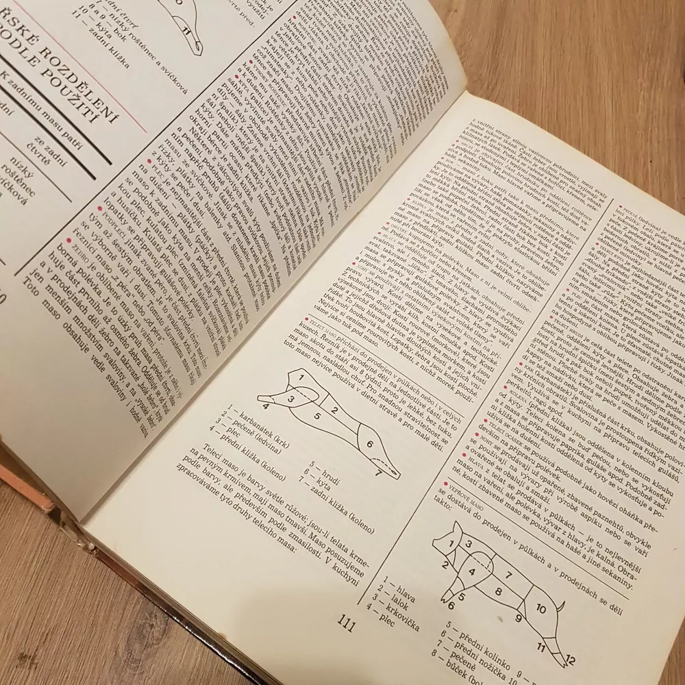 Nová domácí kuchařka, Břízová- Klimentová