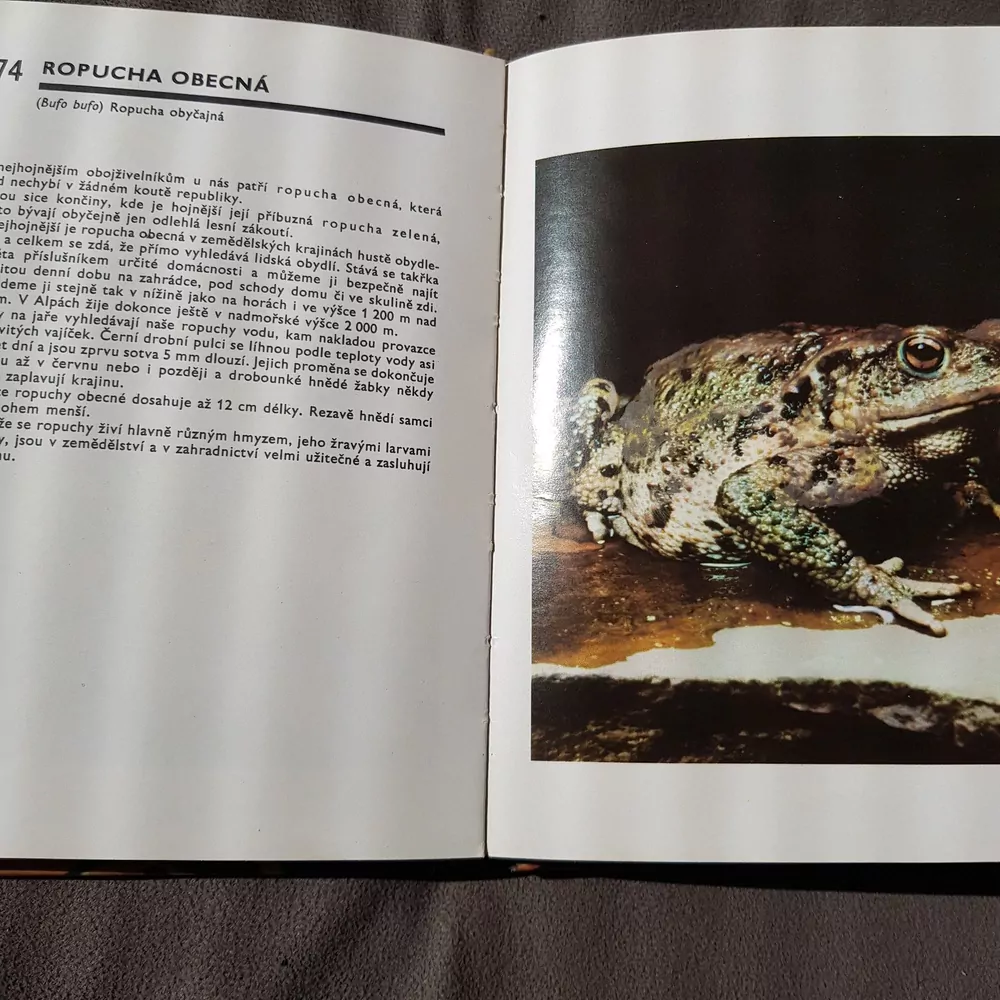 Kapesní atlas ryb, obojživelníků a plazů, 1.vydání 