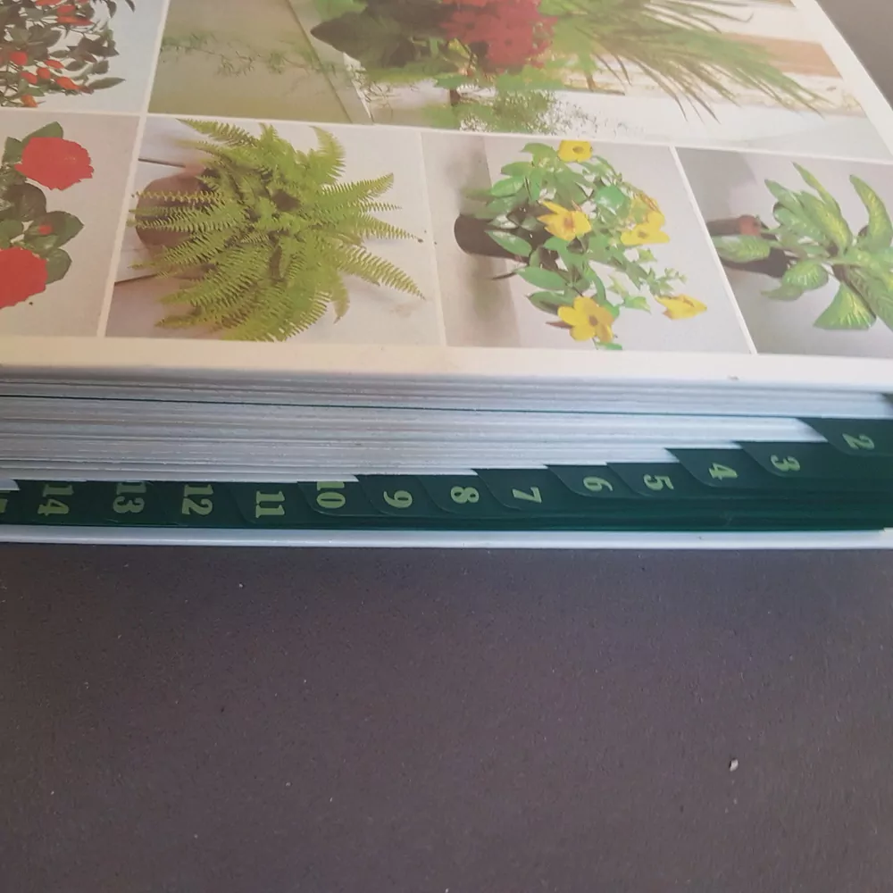 Pokojové květiny od A do Z, sbírkové listy 