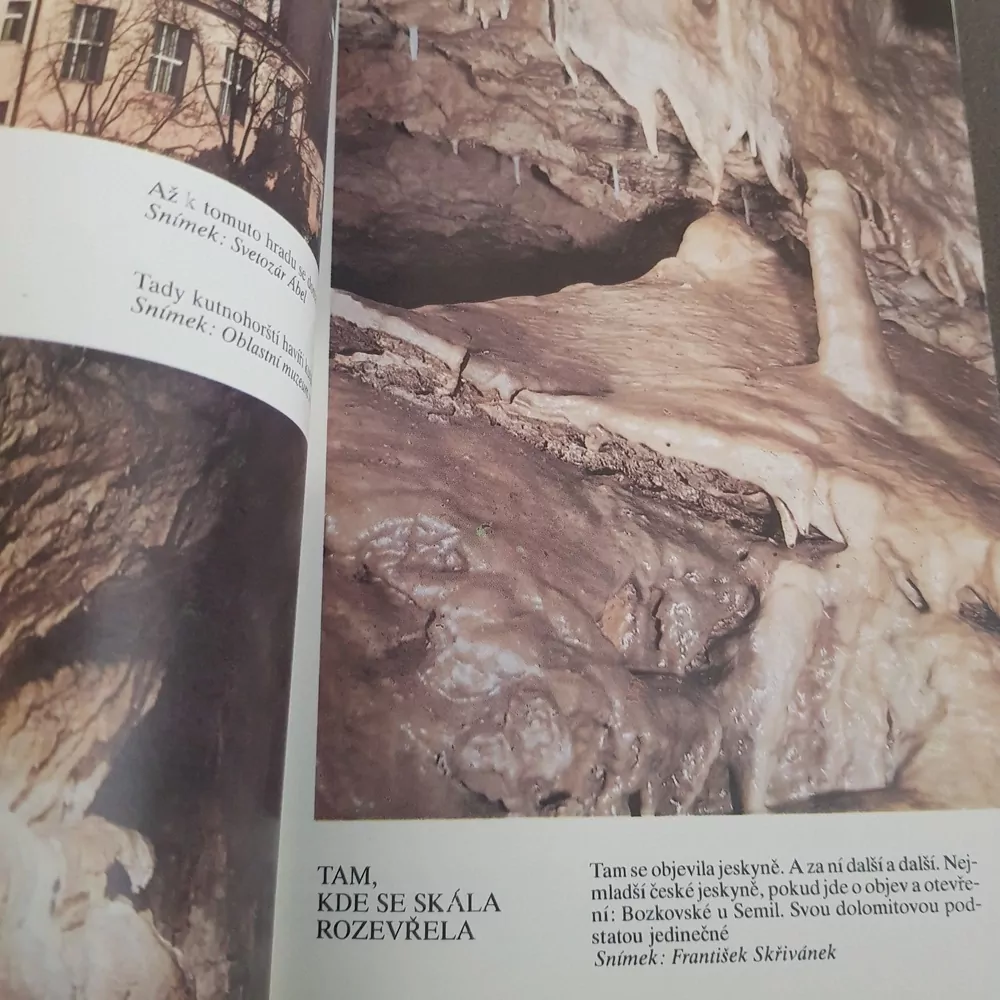 U nás jedině, Adam Jist