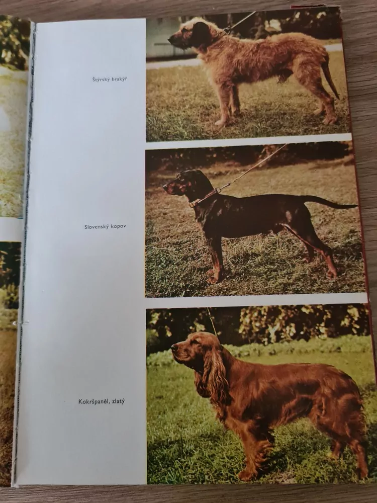 Atlas plemen psů, N. Novotný, vyd.1969