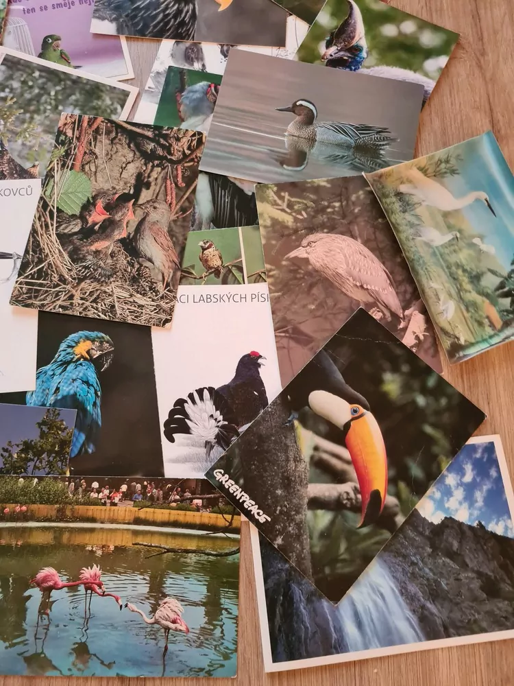 Pohlednice, ptáci mix, 46ks, pouze jako celek 