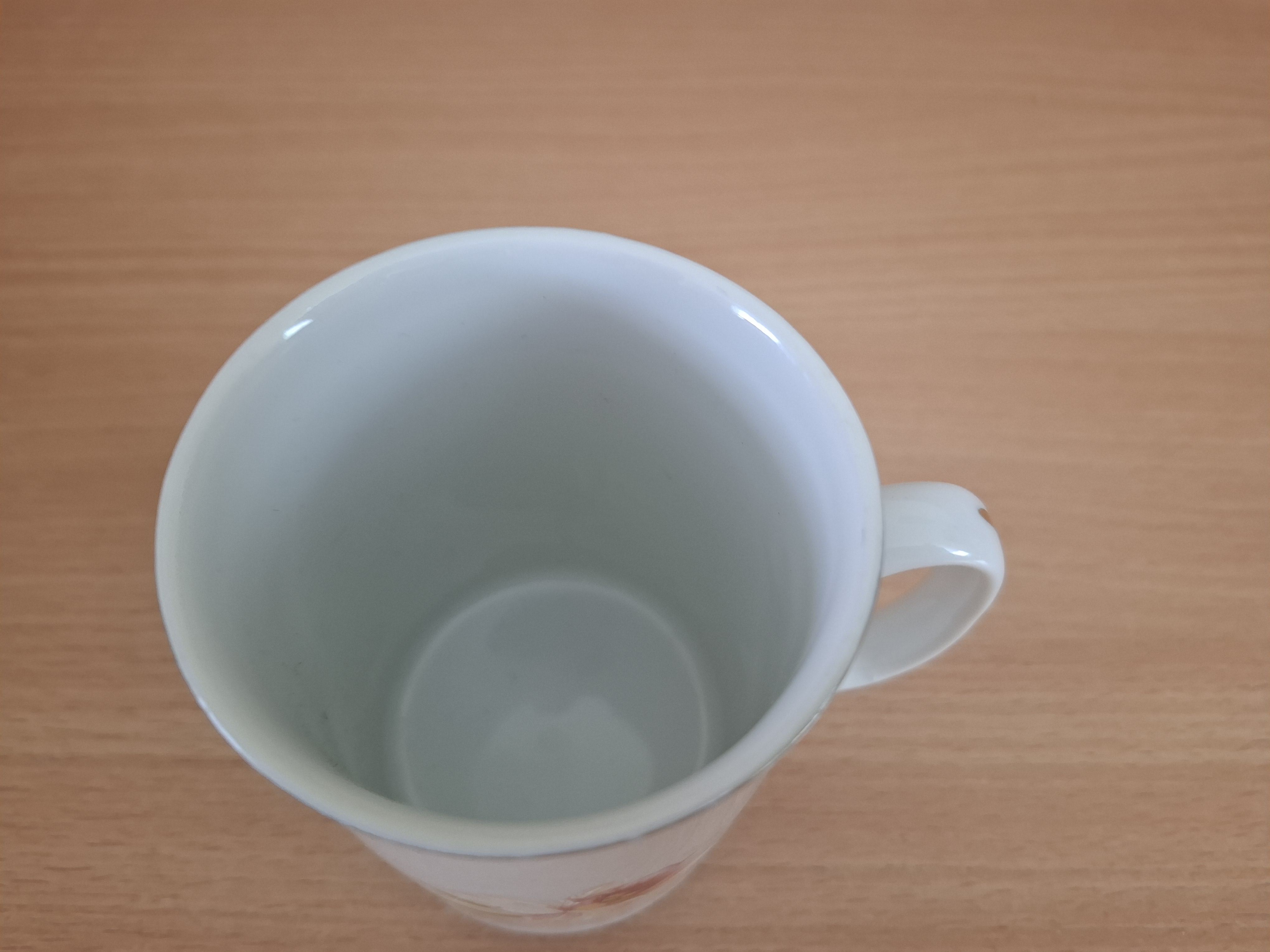 Hrnek, hrníček, orchidej, Dubí Czech republic 