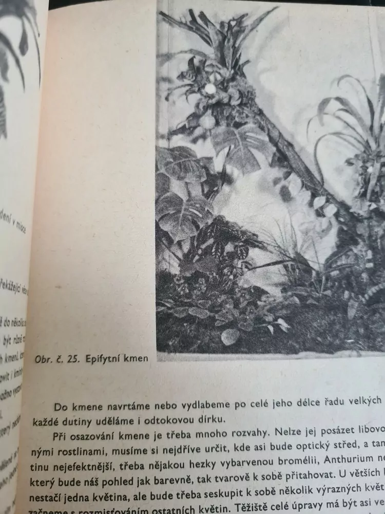  Pěstujeme pokojové květiny, O. Bureš, kniha