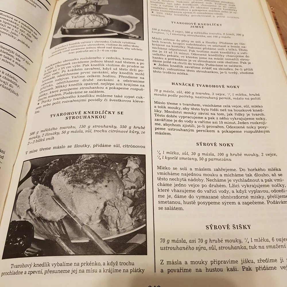 Nová domácí kuchařka, Břízová- Klimentová