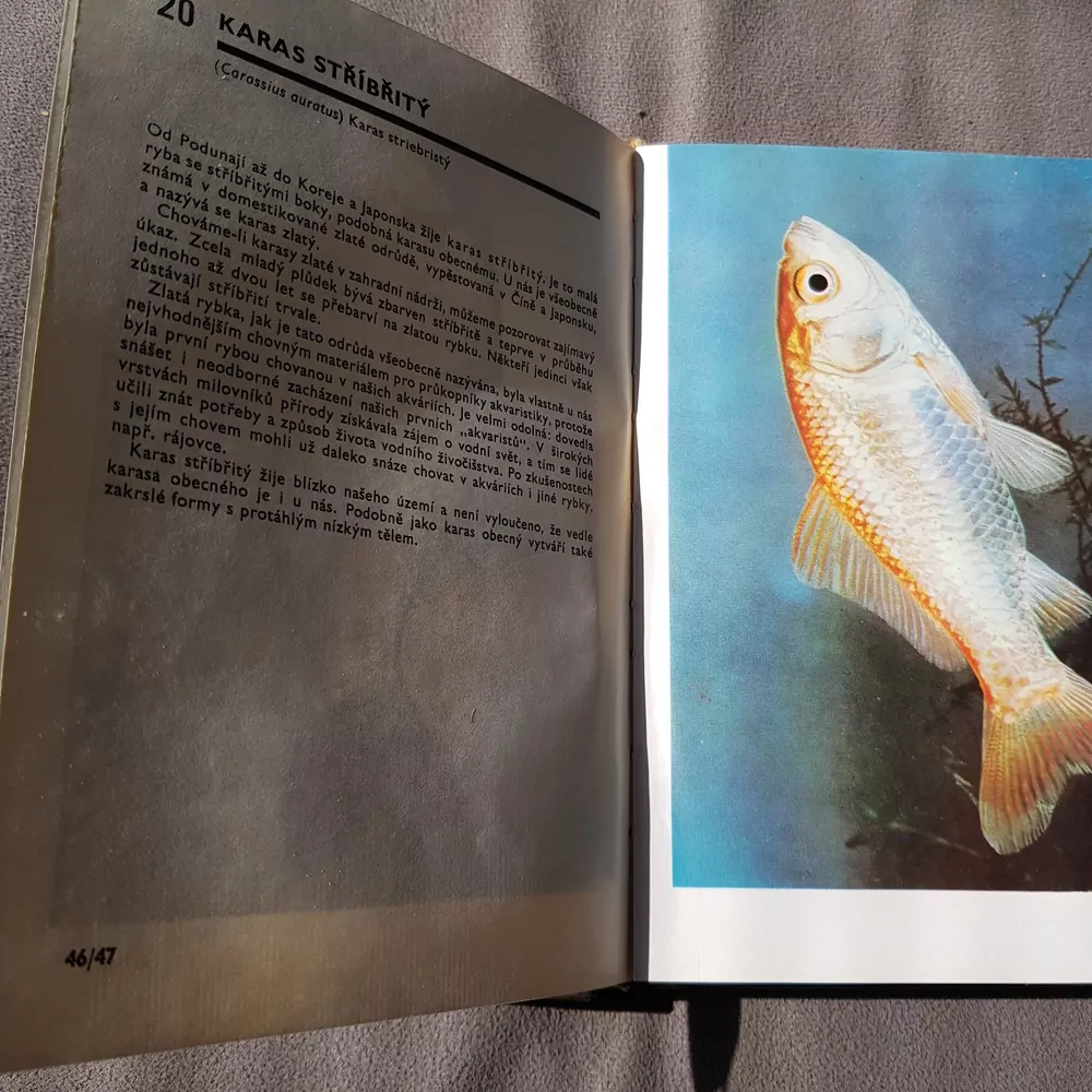 Kapesní atlas ryb, obojživelníků a plazů, 1.vydání 