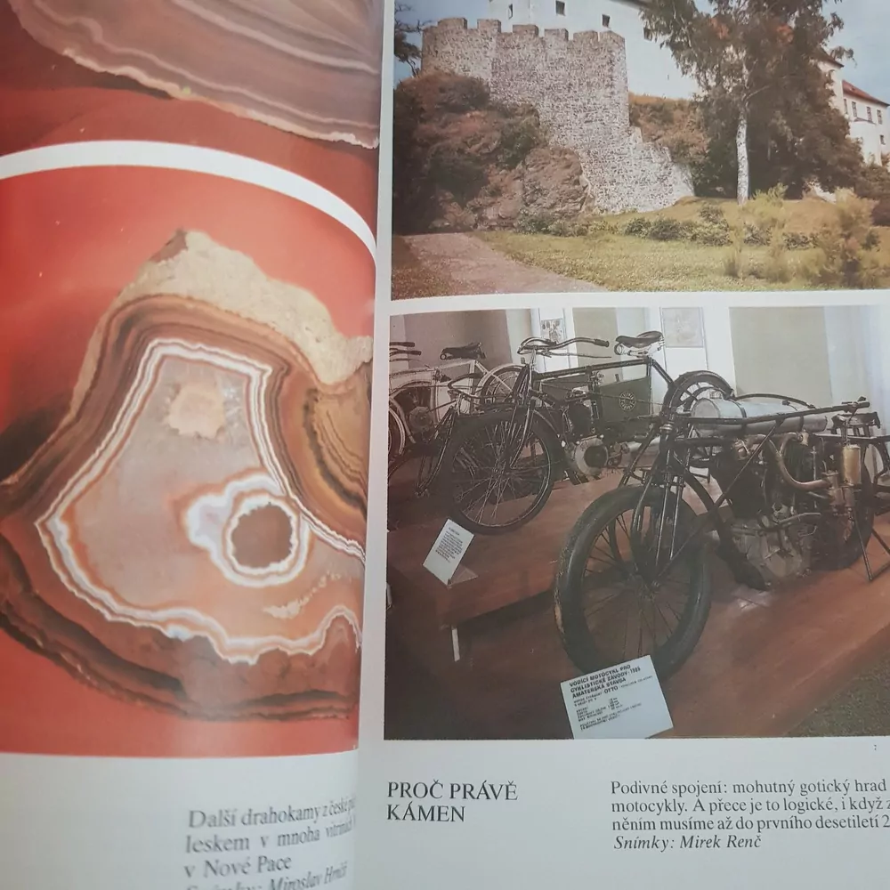 U nás jedině, Adam Jist