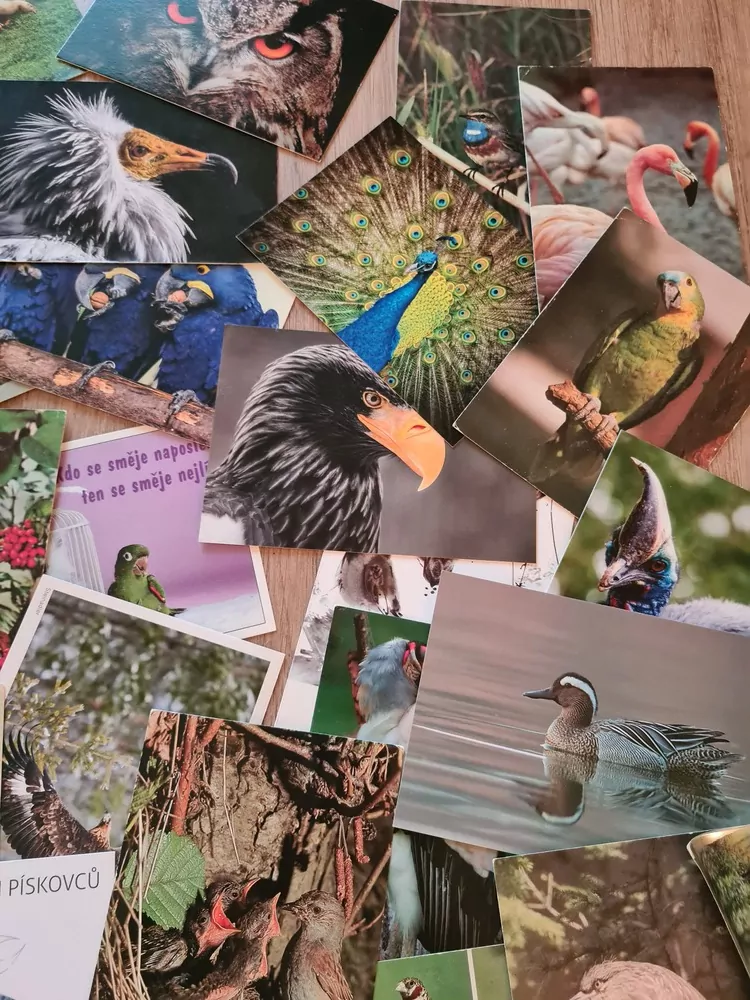 Pohlednice, ptáci mix, 46ks, pouze jako celek 