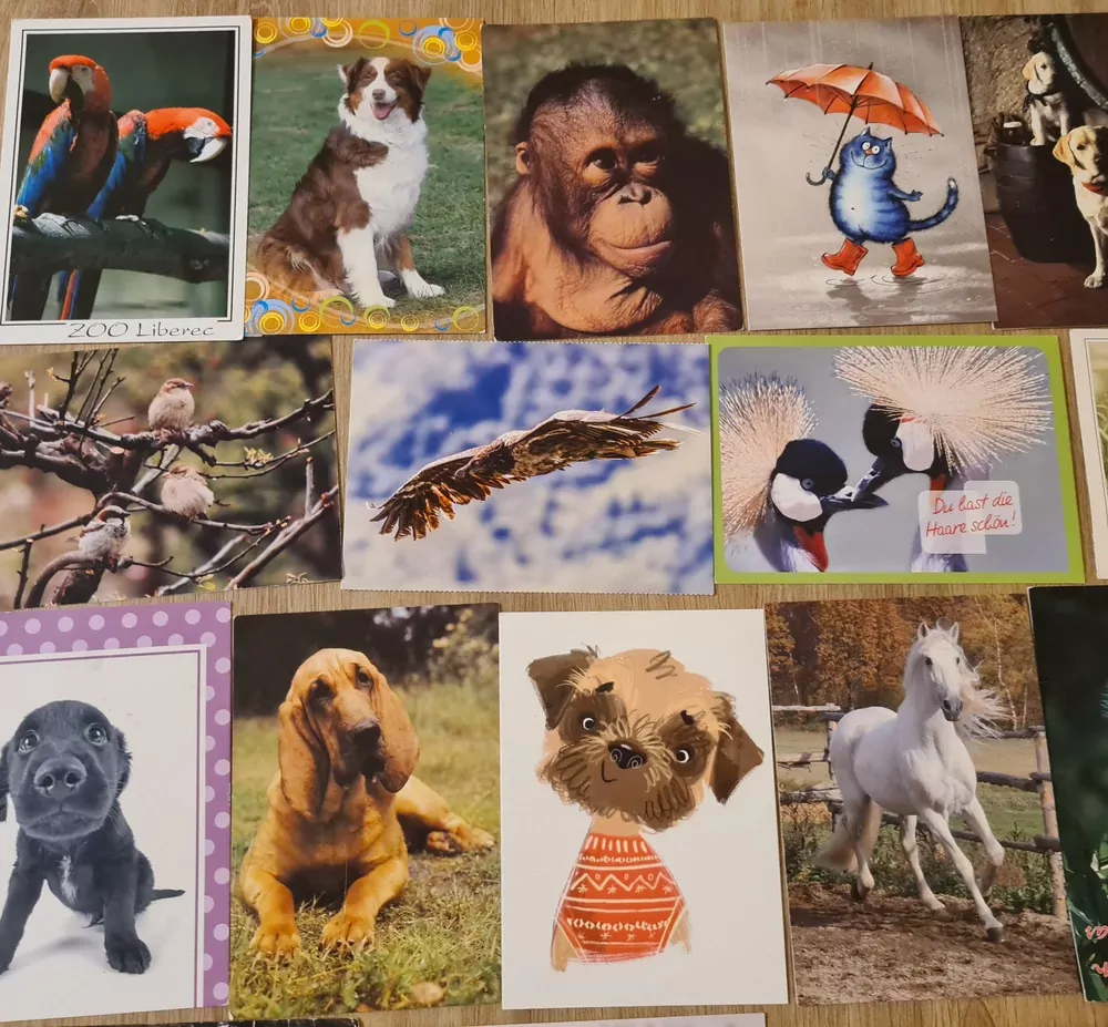 Pohlednice, zvířata, 22x