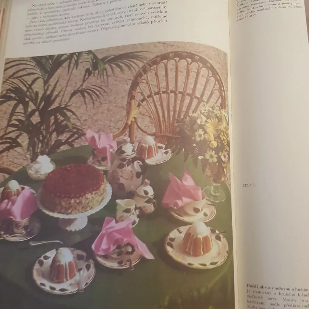 Slavnostní příležitosti, Jánošová a kolektiv 