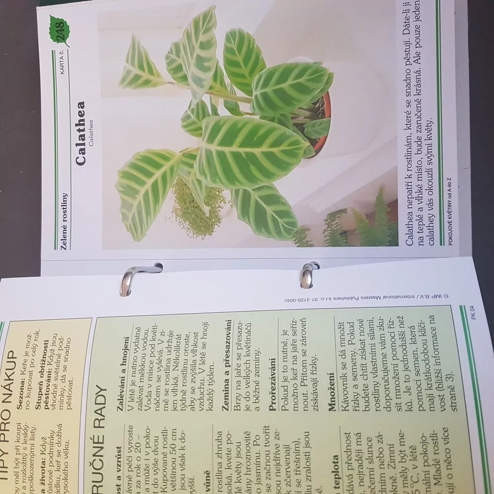 Pokojové květiny od A do Z, sbírkové listy 