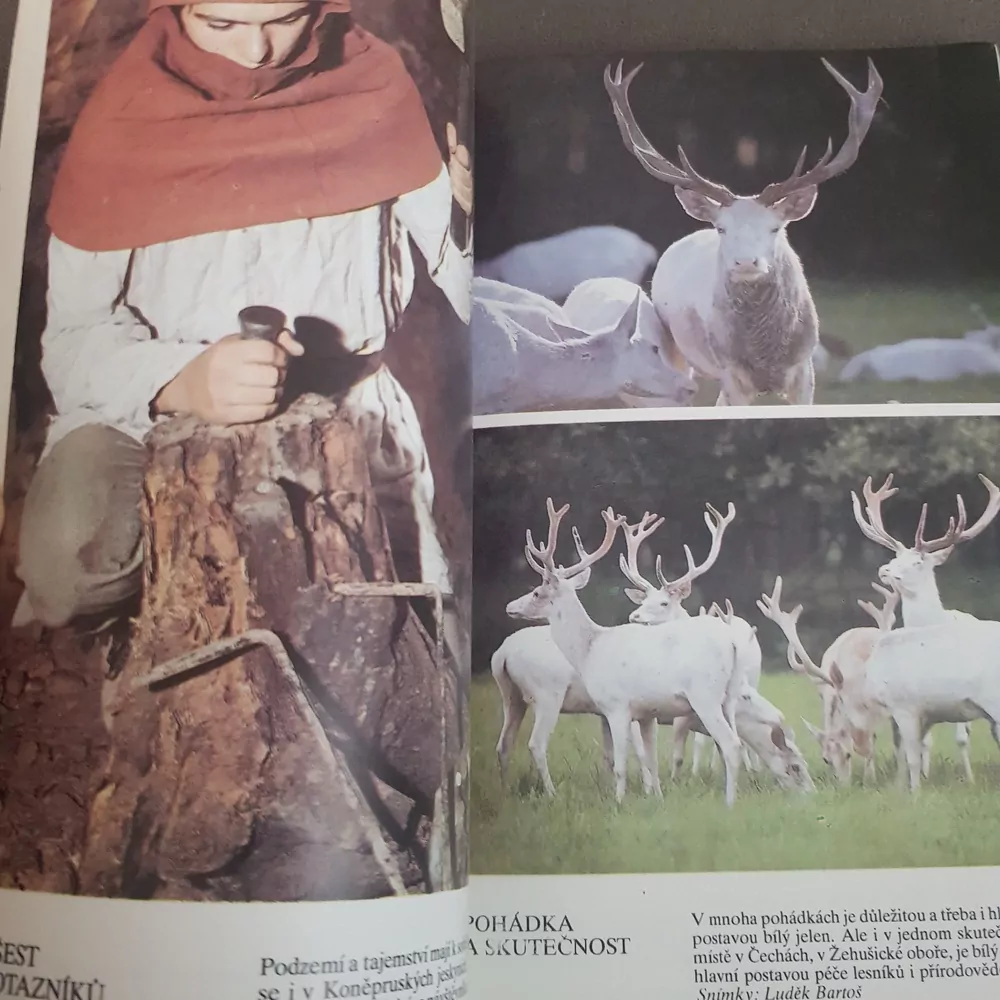 U nás jedině, Adam Jist