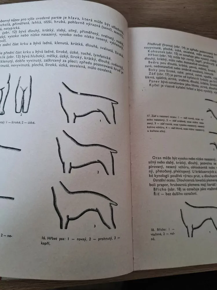 Atlas plemen psů, N. Novotný, vyd.1969