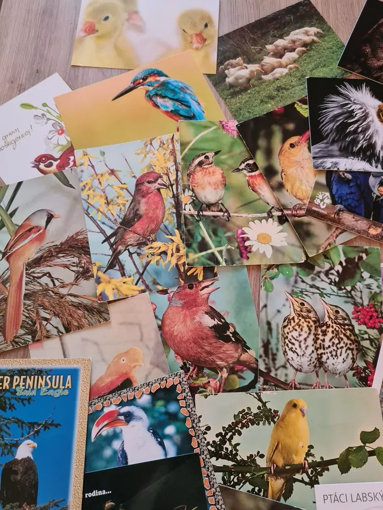 Pohlednice, ptáci mix, 46ks, pouze jako celek 