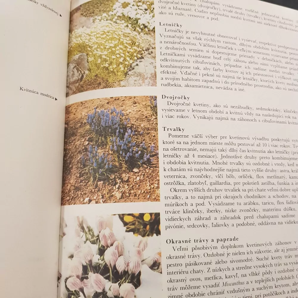 Víkend na chate, v chalupe, pod stanom,  R. Jedlička a kol.