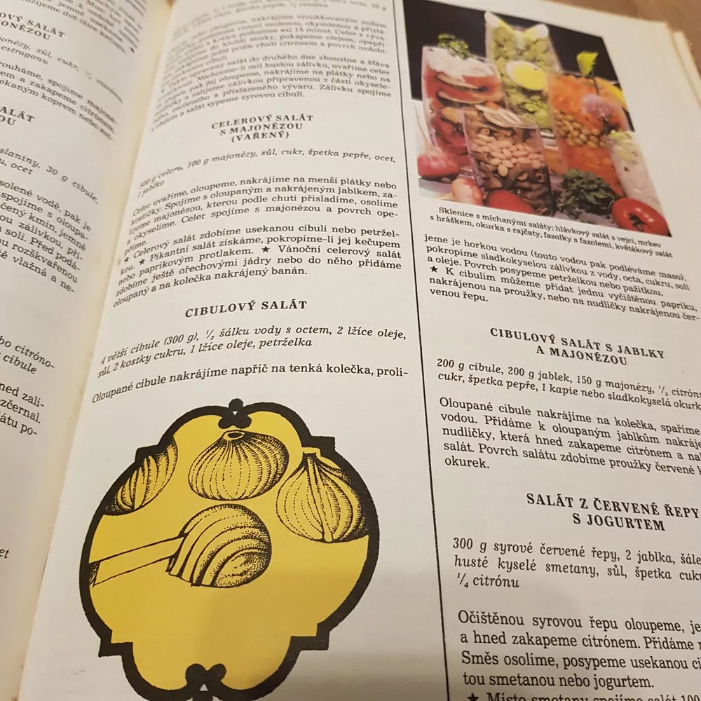 Nová domácí kuchařka, Břízová- Klimentová