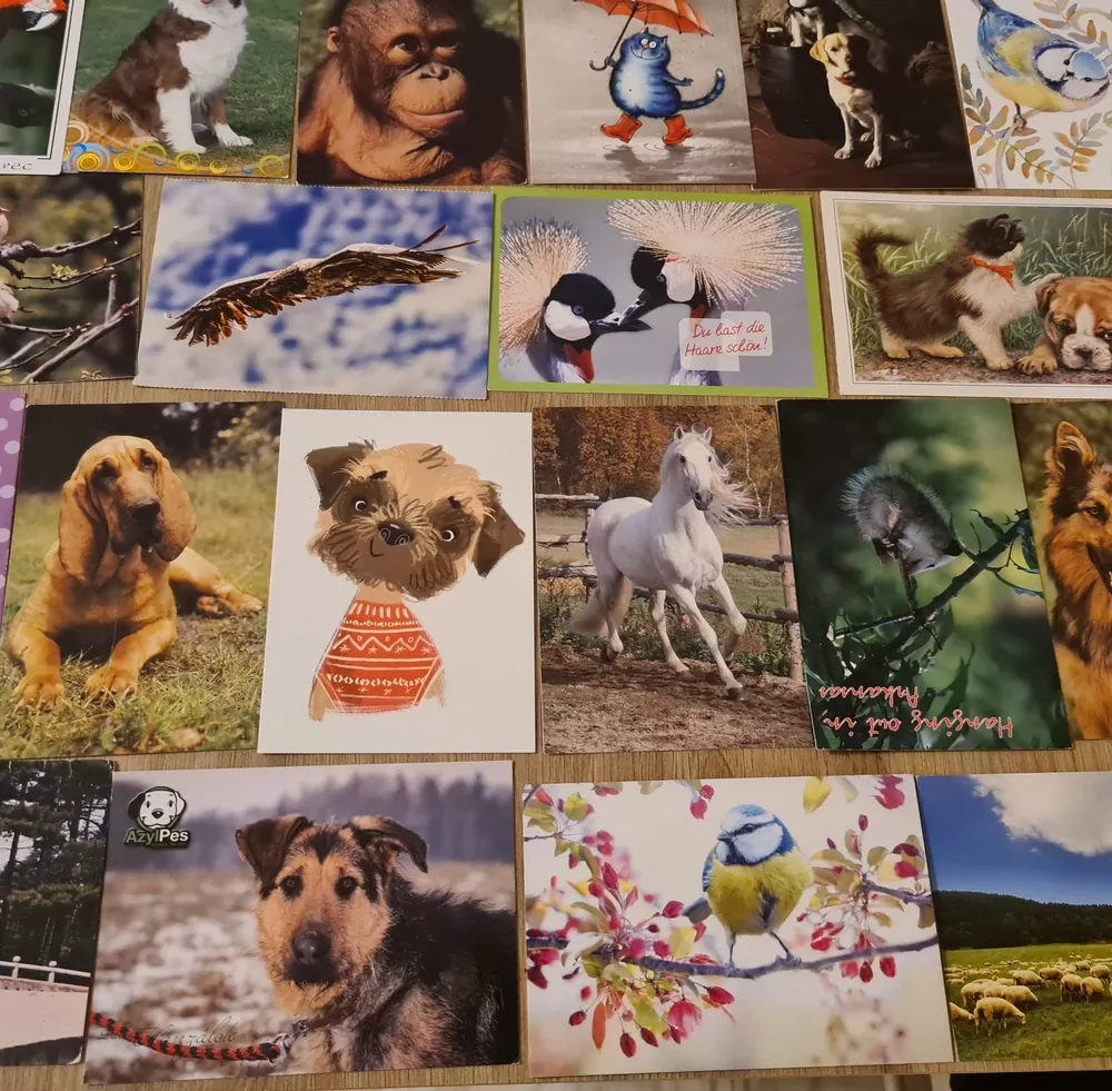 Pohlednice, zvířata, 22x