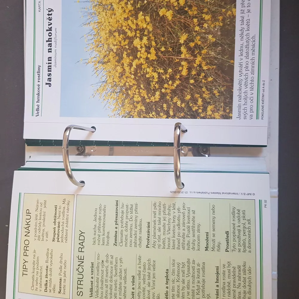 Pokojové květiny od A do Z, sbírkové listy 