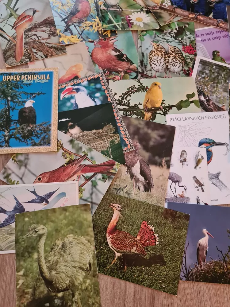 Pohlednice, ptáci mix, 46ks, pouze jako celek 