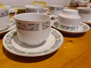 Porcelánová sada na kávu, čaj, 6+6, zelený dekor, China