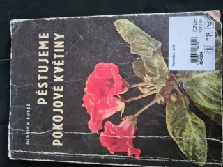  Pěstujeme pokojové květiny, O. Bureš, kniha