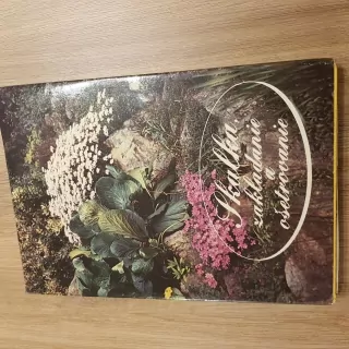 Skalka, zakladanie a ošetrovanie, Čejka a Vaněk 