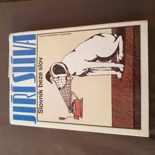 Slovník beze slov, Jiří Slíva