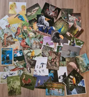 Pohlednice, ptáci mix, 46ks, pouze jako celek 