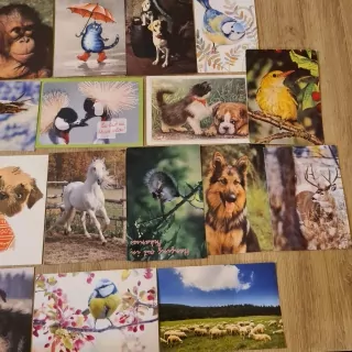 Pohlednice, zvířata, 22x