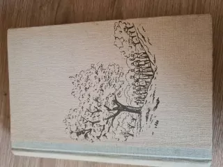 Velká rodina, F. Nasedkin,  vyd. 1952