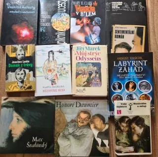 12x kniha, mix, cena za vše 