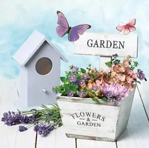 Ubrousky, zahrada, motýli 